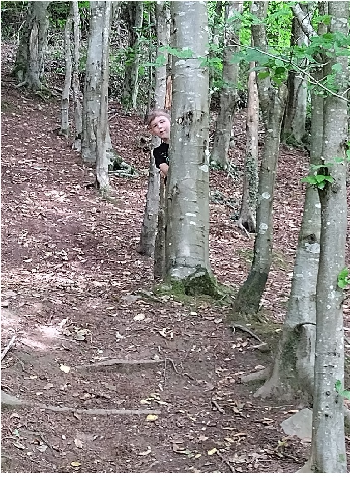 The grandson playing hide and seek behind trees in Haroldston Woods

